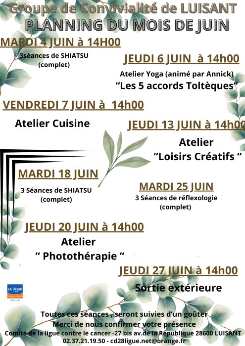 PLANNING JUIN LUISANT