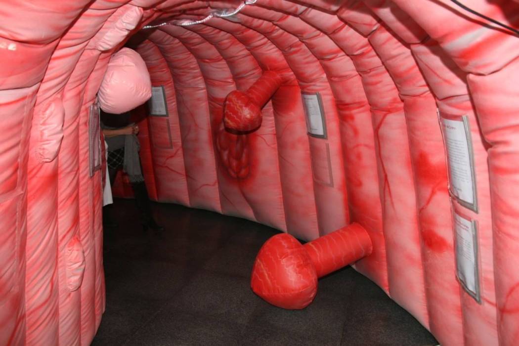 colon tour 