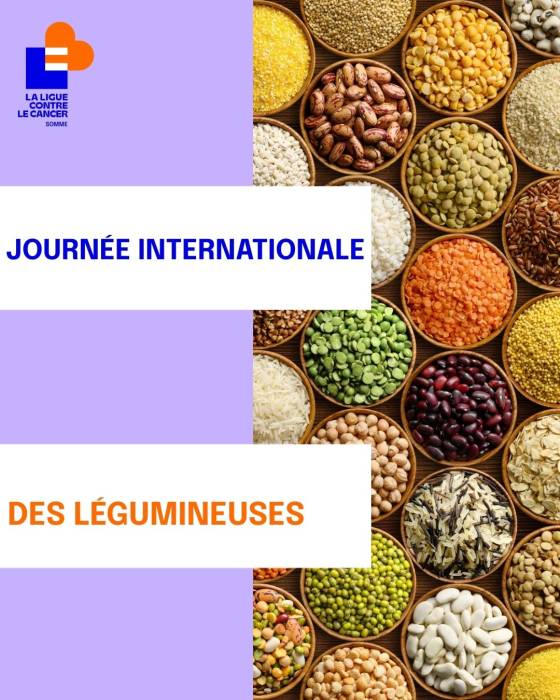 légumineuse