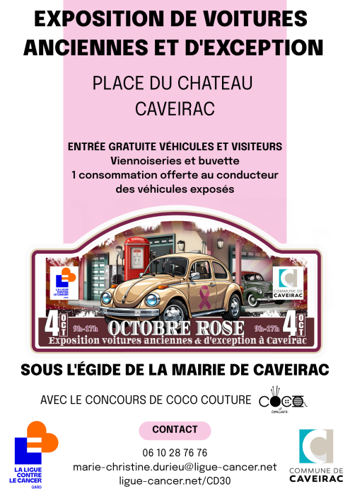 exposition voiture
