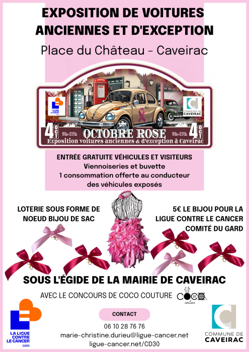 expo voitures anciennes