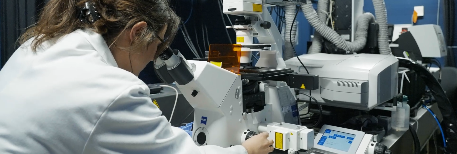 Recherche obésité et cancers