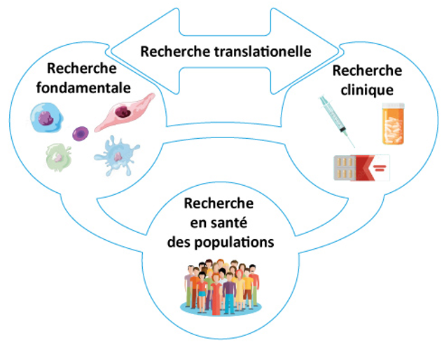 Schéma recherches Ligue