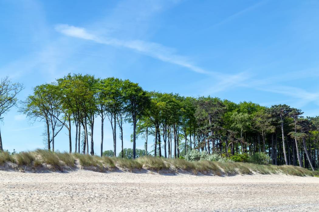 protection de l'environnement