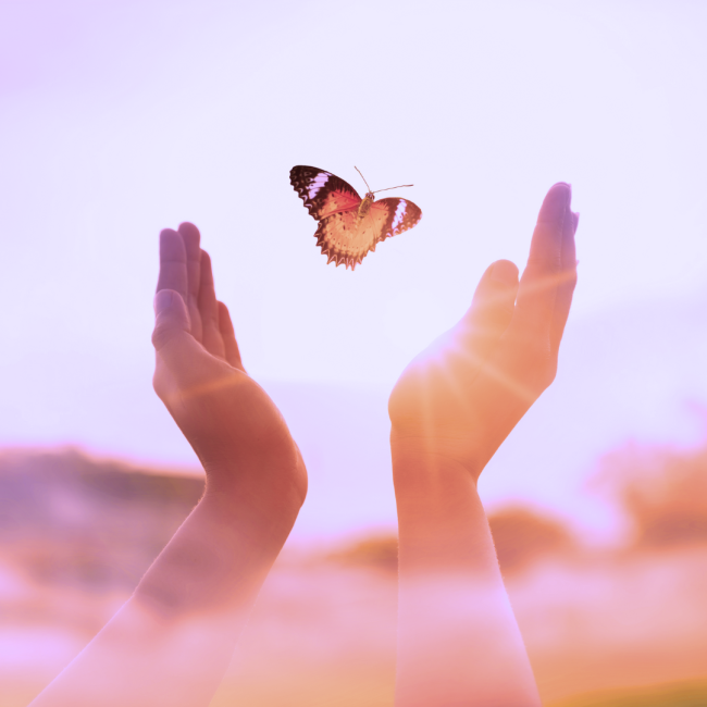 papillon qui s'envole dans une main